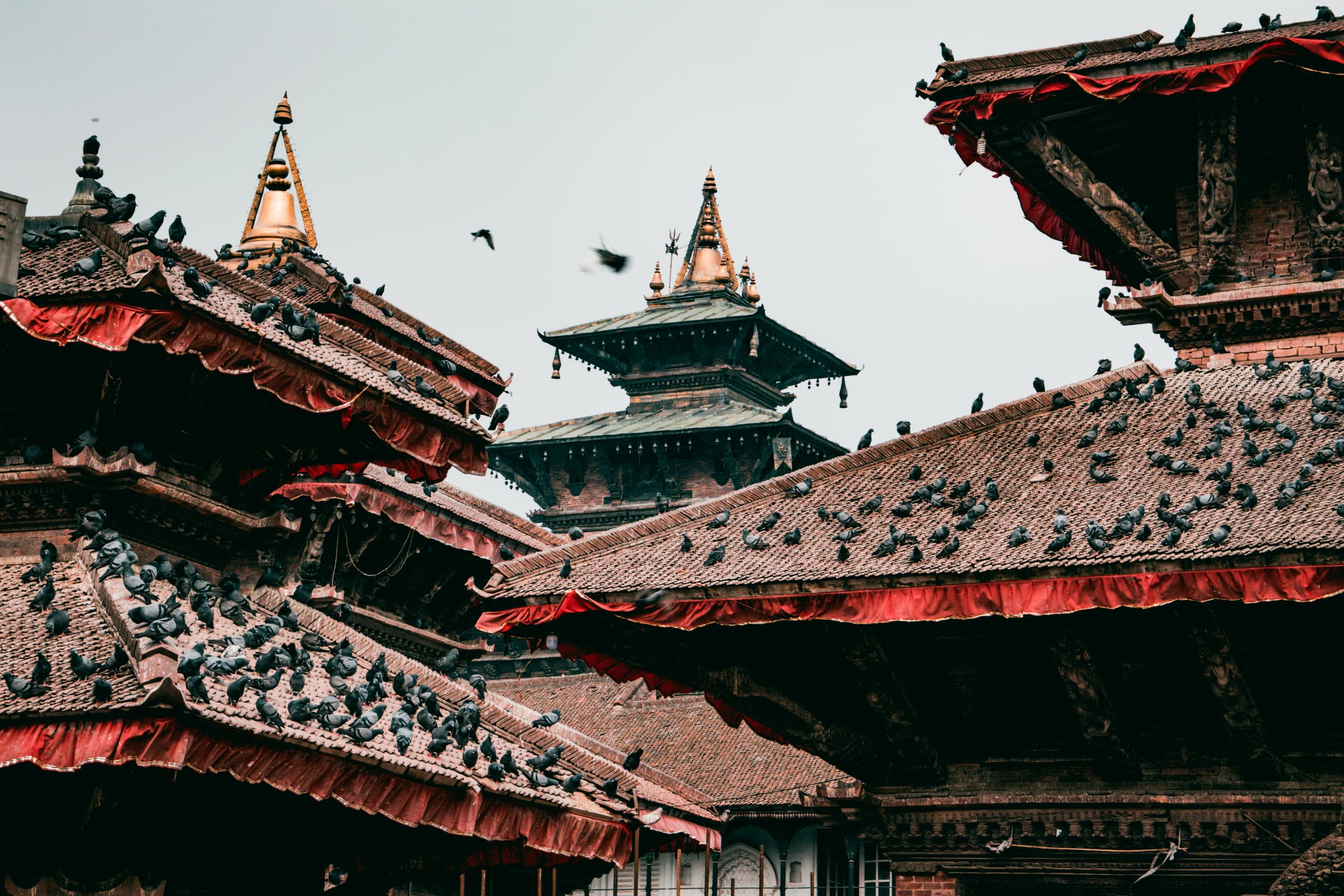 Kathmandu & Pokhara